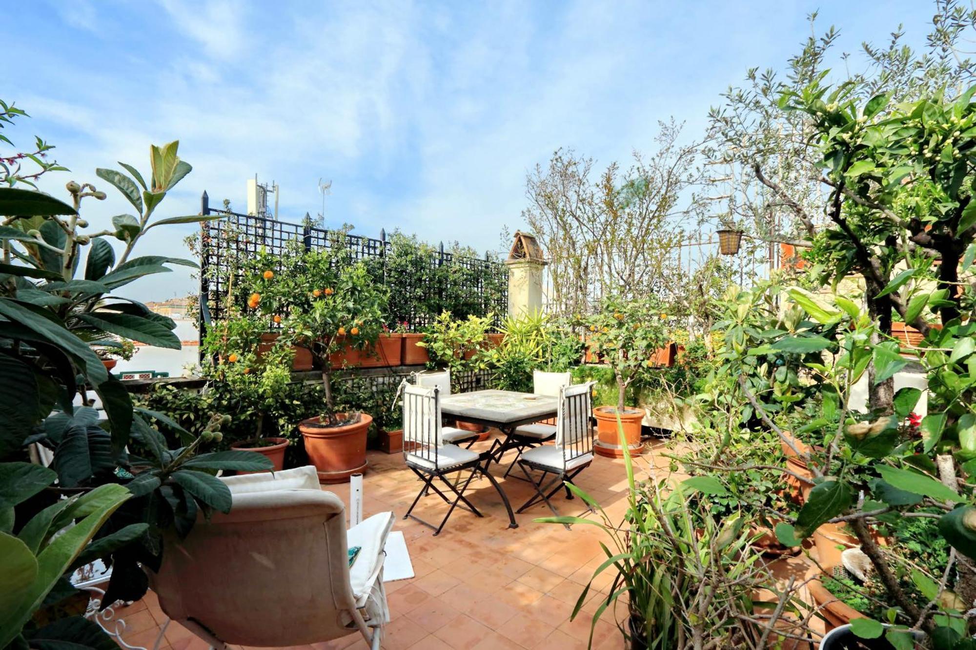 Treasurerome Daphne Terrace * Roma